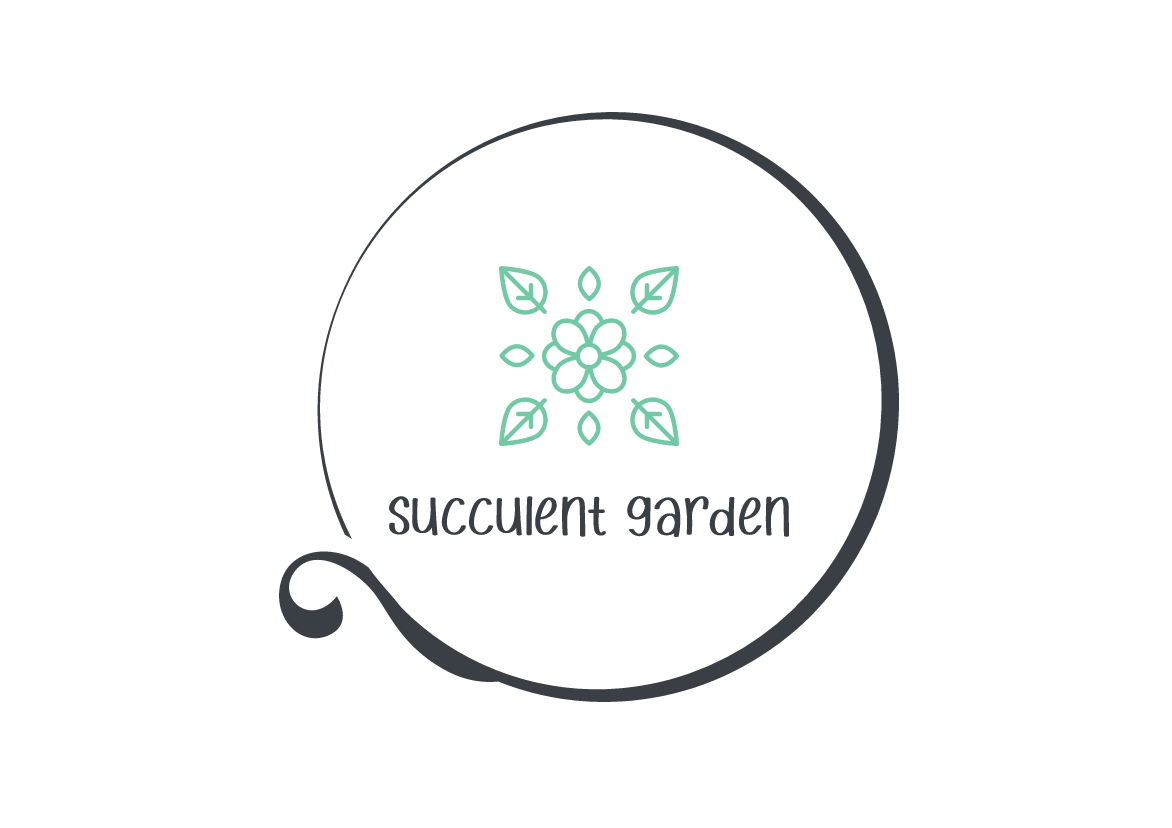 Succulent garden