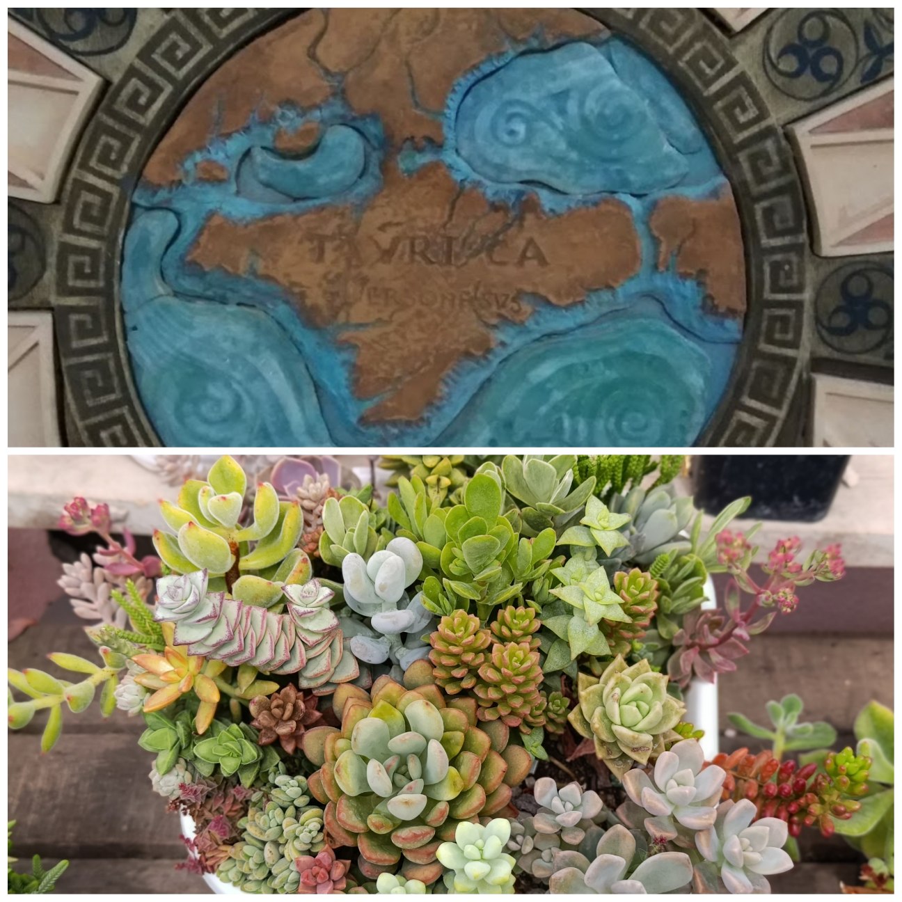 Succulent_Dobroe_Crimea